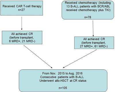 Integrating CAR T-Cell Therapy and Transplantation: Comparisons of Safety and Long-Term Efficacy of Allogeneic Hematopoietic Stem Cell Transplantation After CAR T-Cell or Chemotherapy-Based Complete Remission in B-Cell Acute Lymphoblastic Leukemia